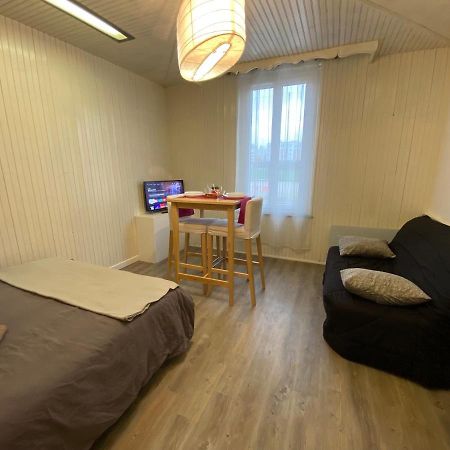 Les Coquelicots Wifi Apartman Troyes Kültér fotó